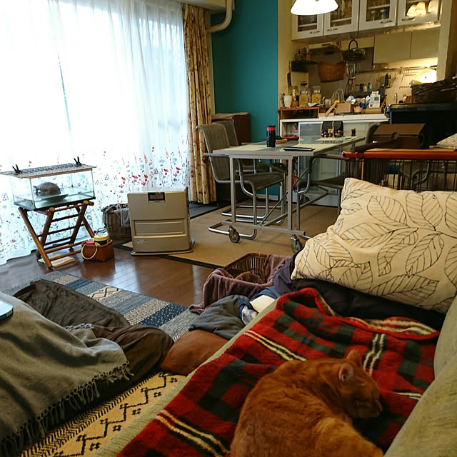 okyosan101さんの実例写真
