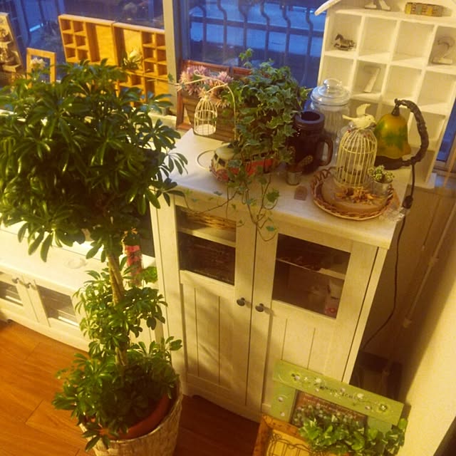 kureaさんの実例写真