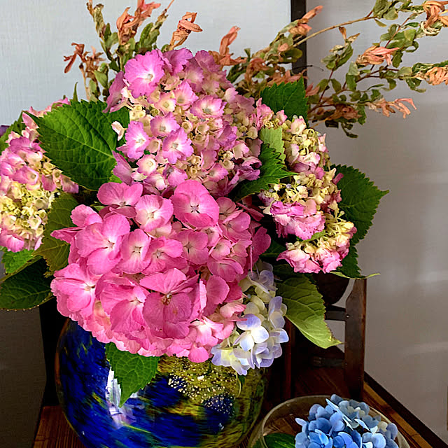 syutmmさんの部屋