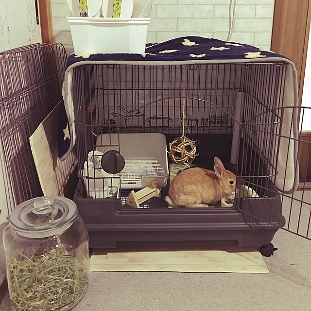 yujunさんの実例写真