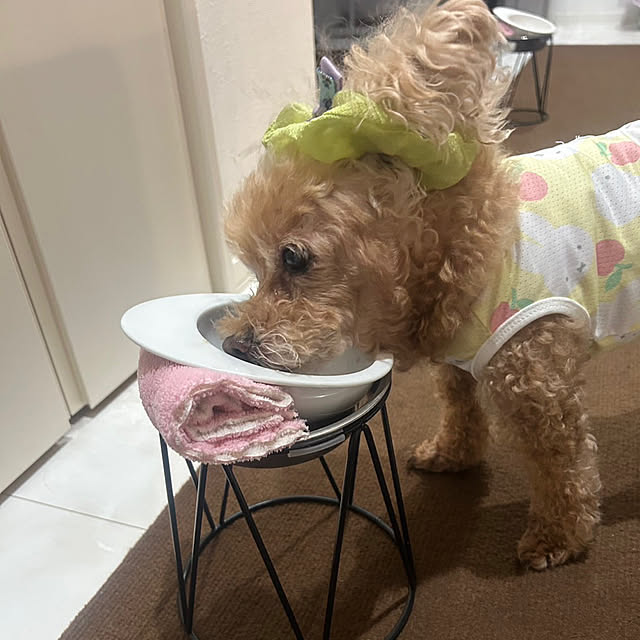 monokoさんの部屋