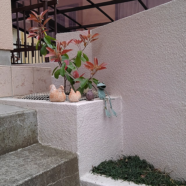 Renさんの実例写真
