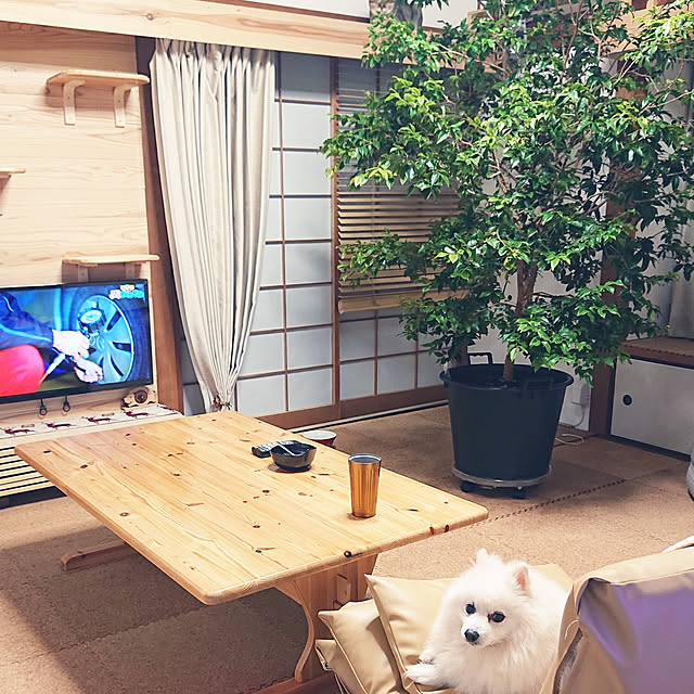 e-mailさんの実例写真