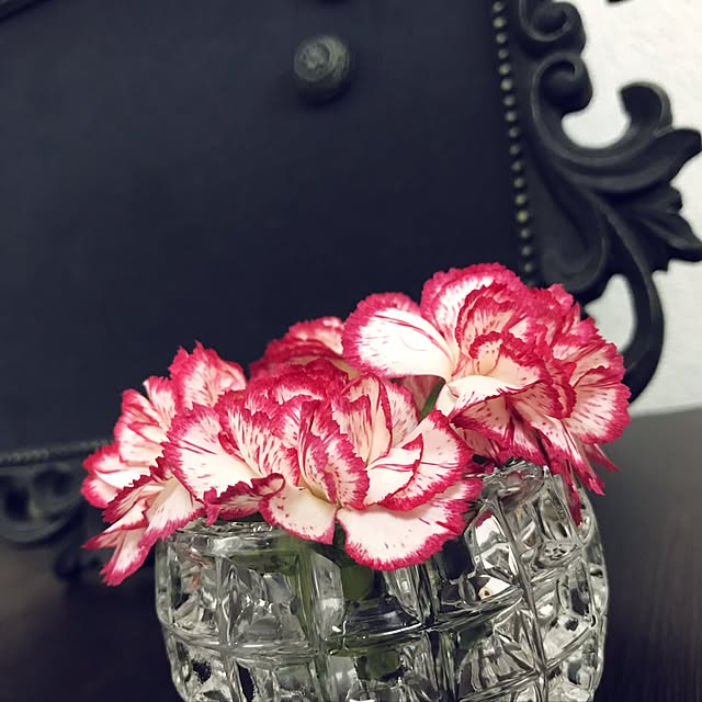midoriさんの実例写真