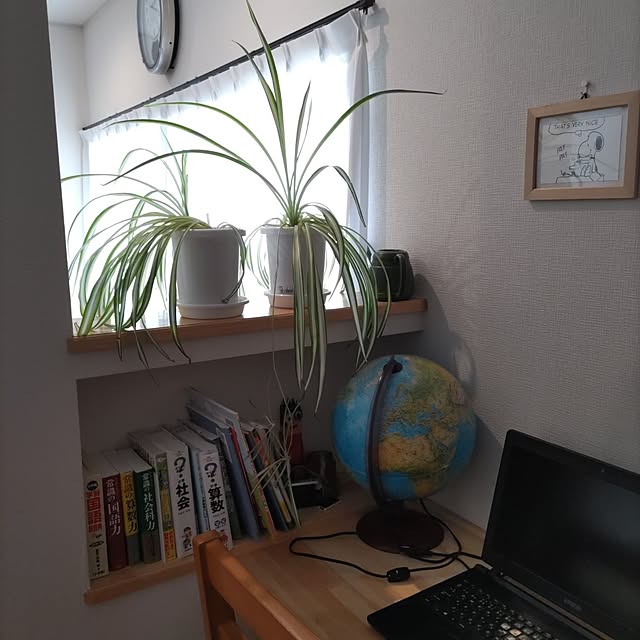 mamiさんの実例写真