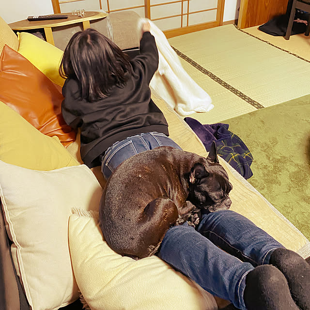 kotaroさんの部屋