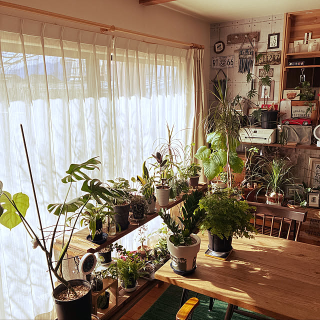 hiroさんの実例写真