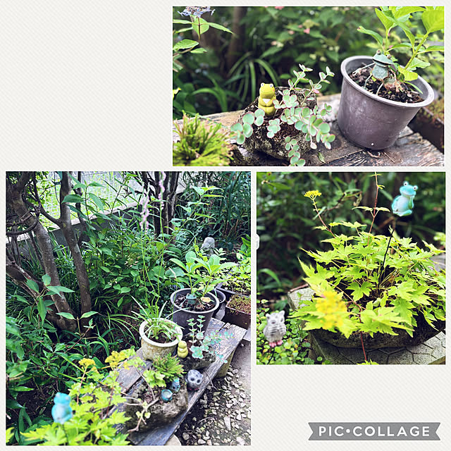 CoCo0617さんの部屋