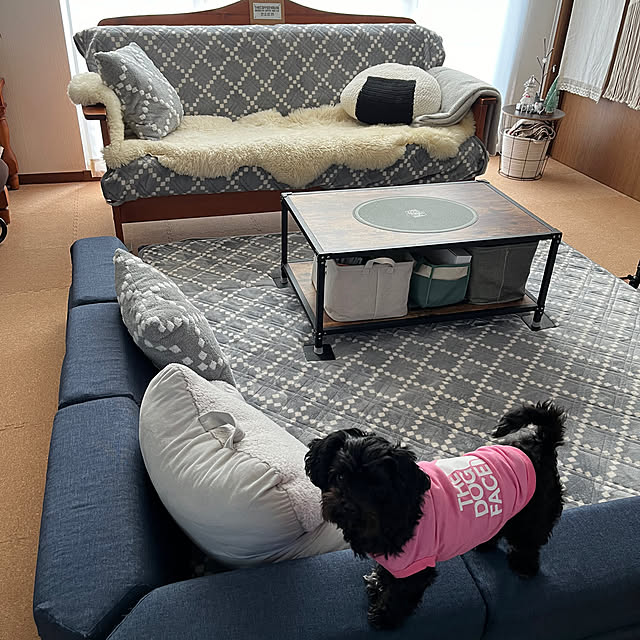 gomaさんの実例写真