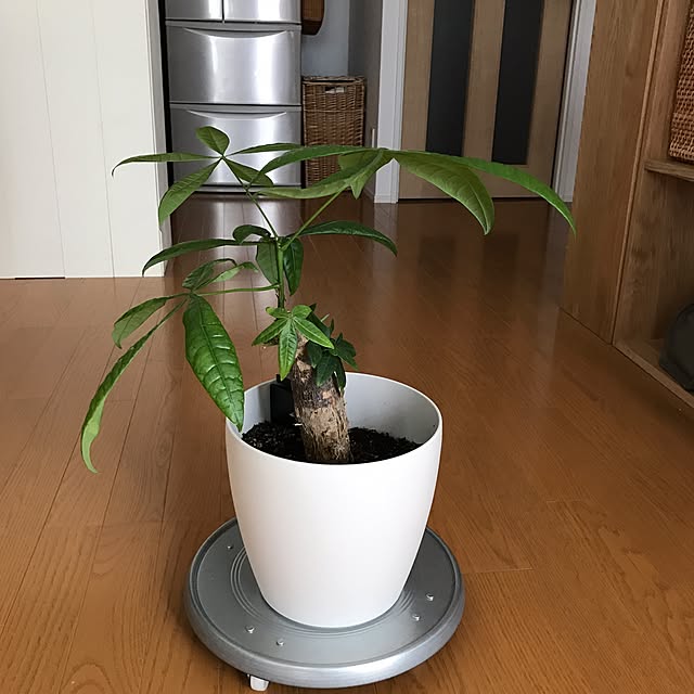 pontaさんの実例写真
