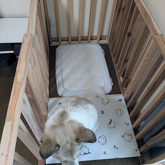 asaさんの実例写真