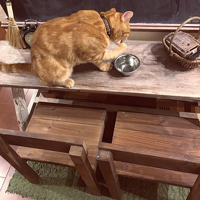 chi-kaさんの実例写真