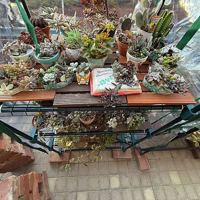 Aqettyさんの部屋