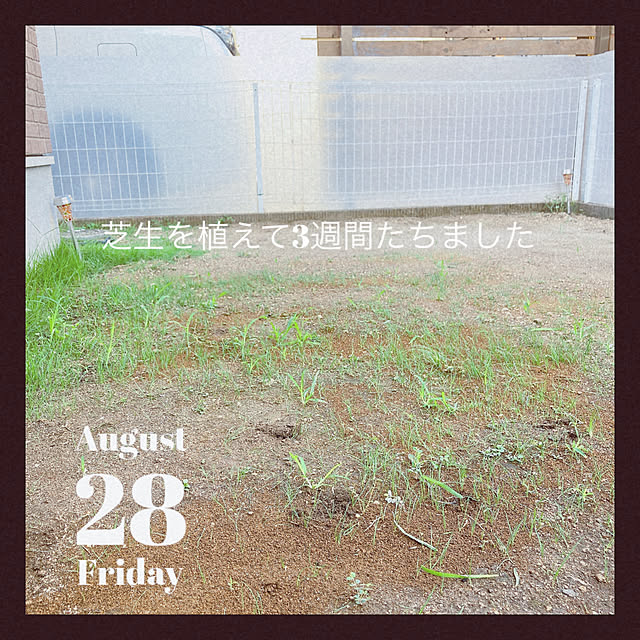 Mayさんの実例写真