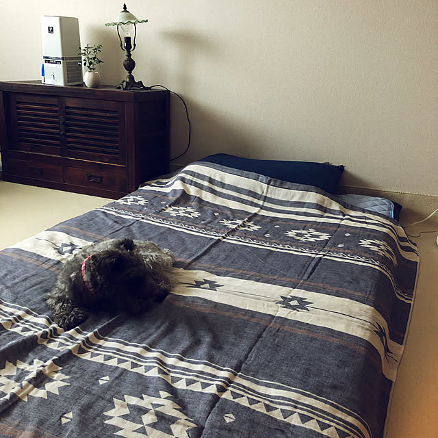 Cokiaさんの実例写真
