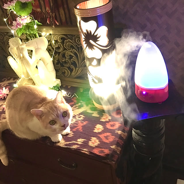 aiaiさんの実例写真
