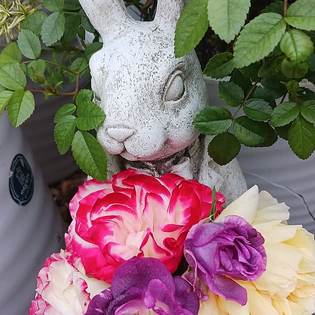 aiさんの実例写真