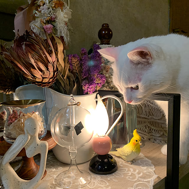 keiさんの実例写真