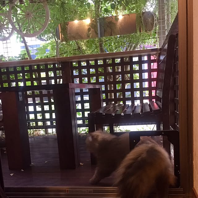 butachanさんの実例写真
