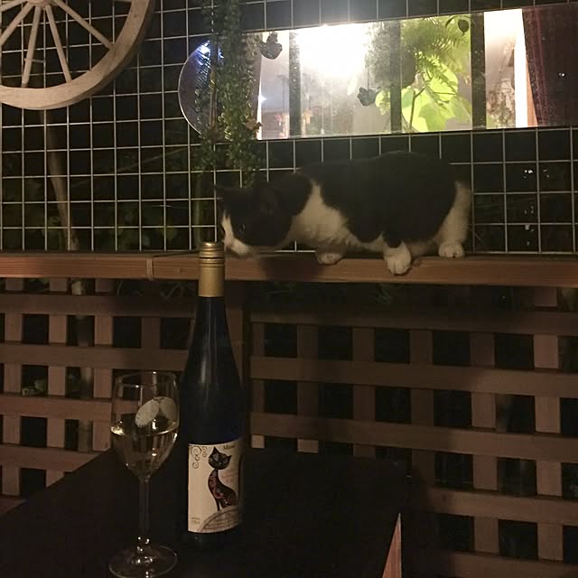 butachanさんの実例写真