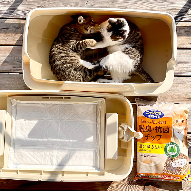 sakurasakuさんの実例写真