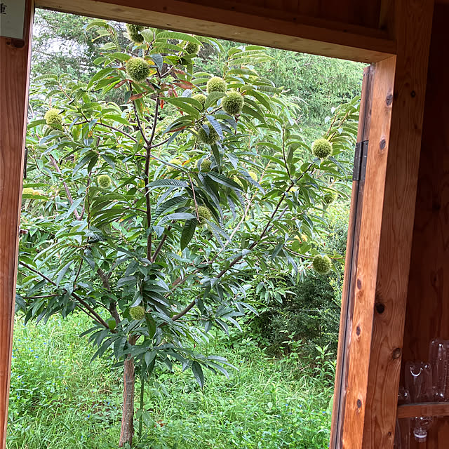 Nagakoさんの部屋