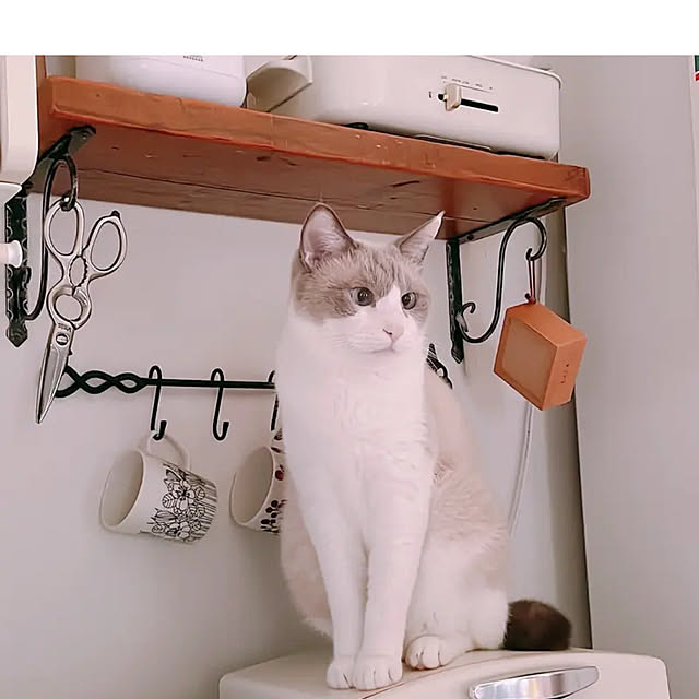 milkcocoaさんの実例写真