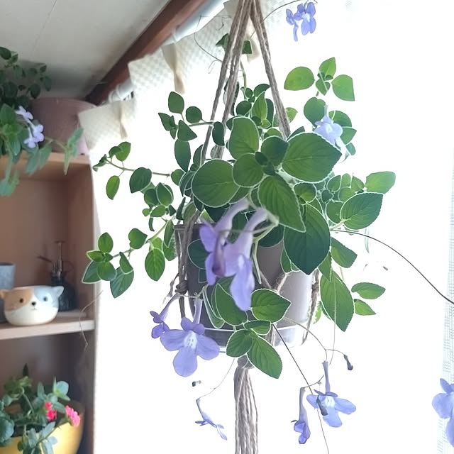 NOAHさんの部屋