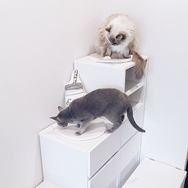ar._.roomさんの実例写真