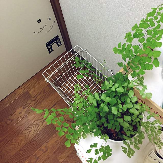 takakoさんの実例写真
