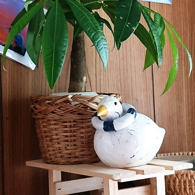 kogumaさんの実例写真