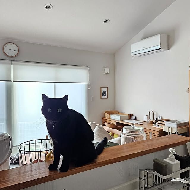 koyurizuさんの部屋