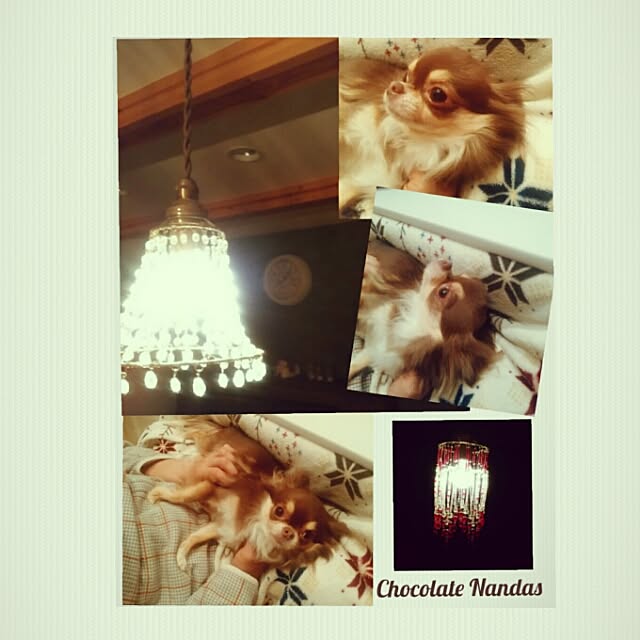 ChocolateNandasさんの実例写真