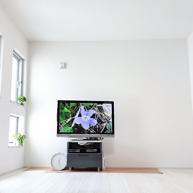 tamaさんの部屋