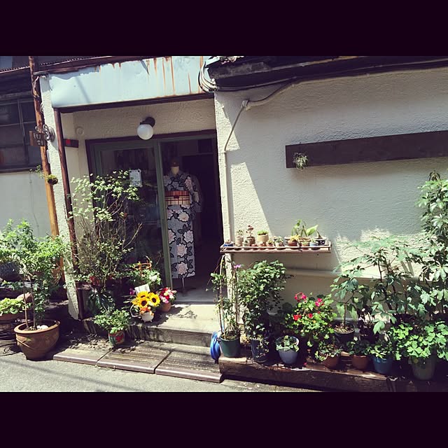 Hazukiさんの実例写真