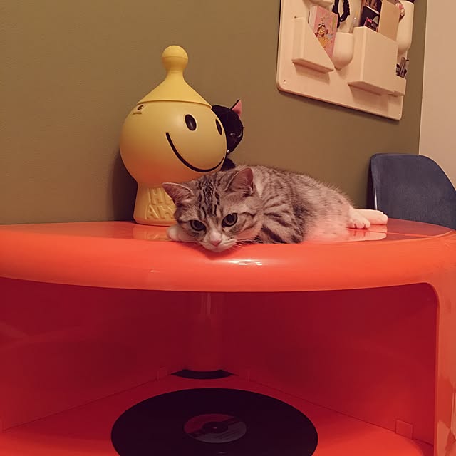 Shojiさんの実例写真