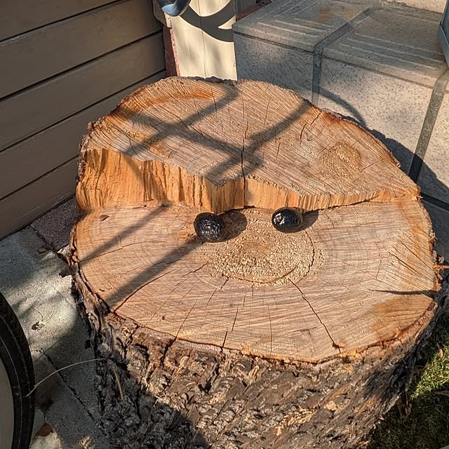 mori_6_12さんの実例写真