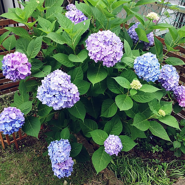 mofukoさんの実例写真