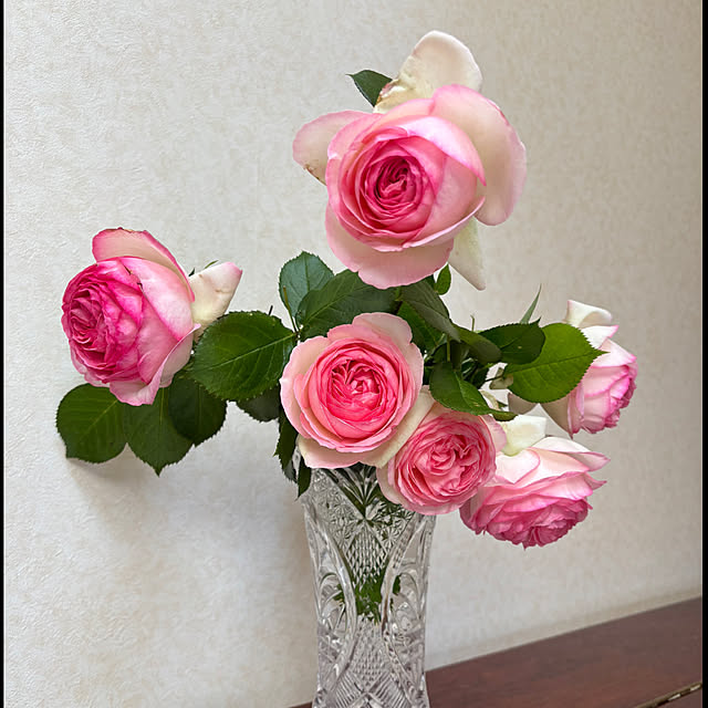 sakuraさんの実例写真