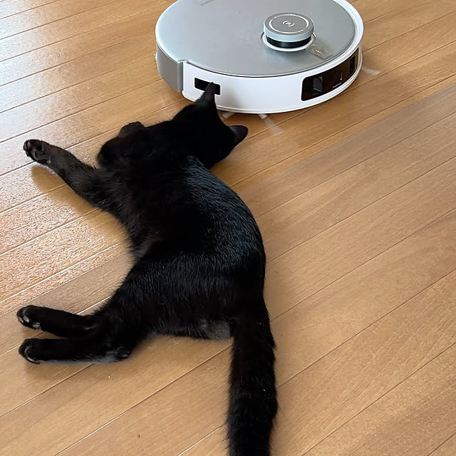 rioさんの実例写真