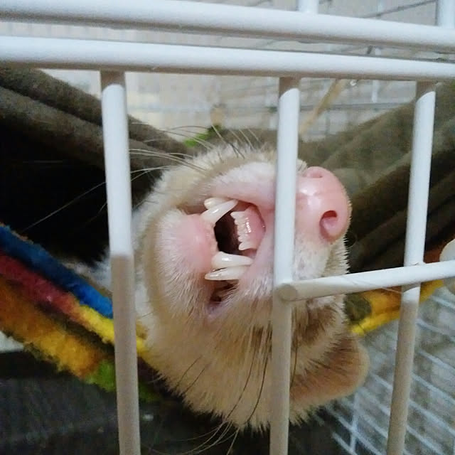 an89さんの実例写真