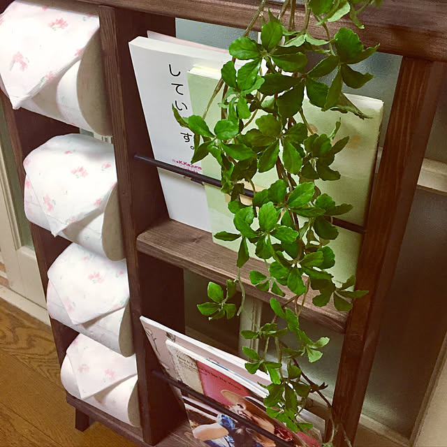 バス/トイレ/ゆっくりしたい時は雑誌をどうぞ♪/トイレットペーパーってすぐなくなるよね/フェイクグリーン/いなざうるす屋さんのインテリア実例 - 2017-09-10 10:33:58