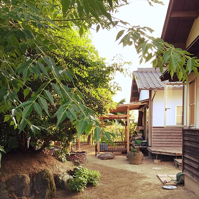 実例写真