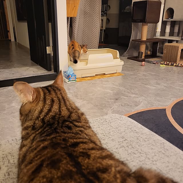 momoさんの部屋