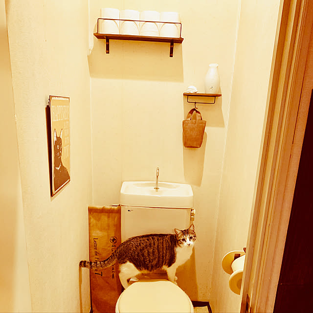 yuraさんの実例写真