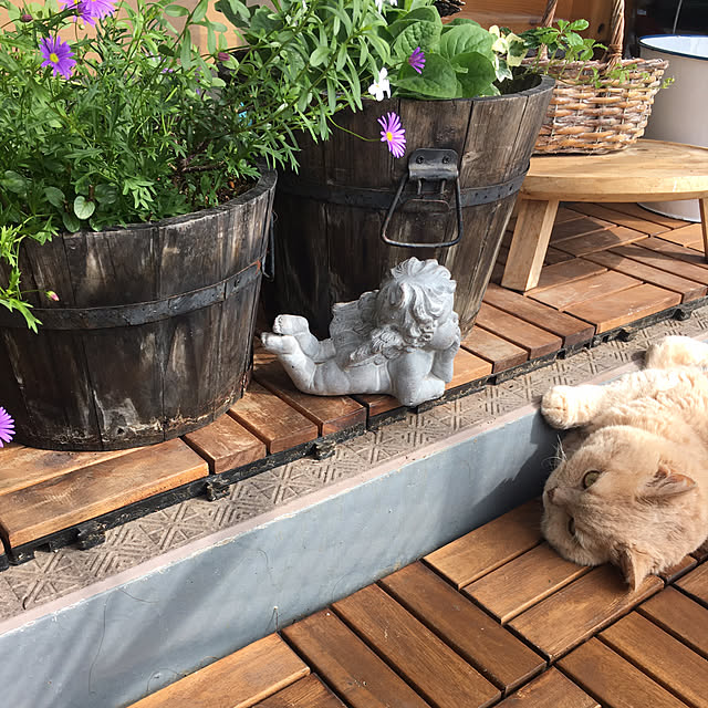 naokoさんの部屋