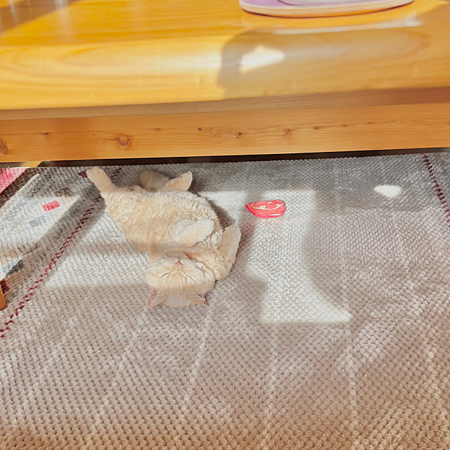 naokoさんの部屋