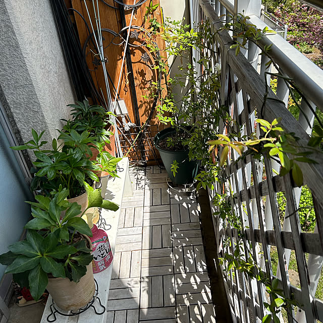shabby666さんの部屋