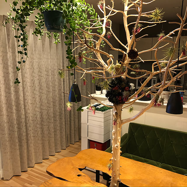 amatsukishiさんの実例写真
