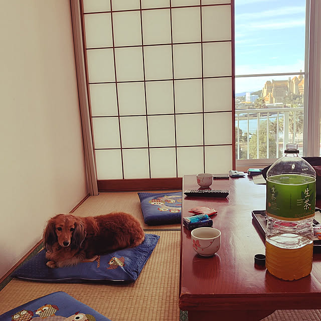 rikachakoさんの実例写真